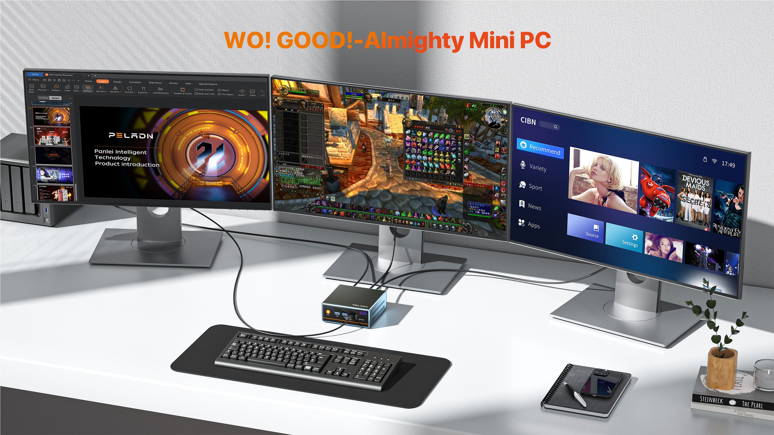 Peladn WO4 5500U Mini PC 